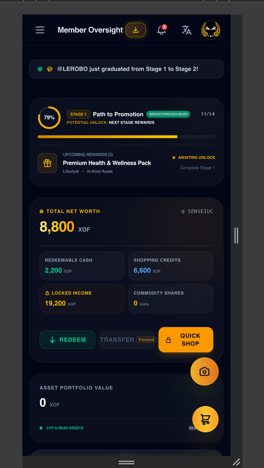 Example member overview showing wallet balances and stage progress